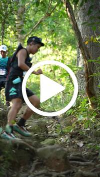 BIB:  <button type="button" onclick="openModal(27640805)" class="btn btn-primary btn-sm float-right" data-toggle="modal" data-target=".modal-high-quality">
                <i class="fa fa-download"></i> Download
                </button>